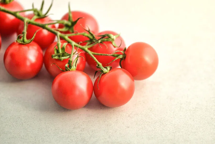Как выбрать семена томатов для рассады: какие плоды берут на семена и какие для засолки