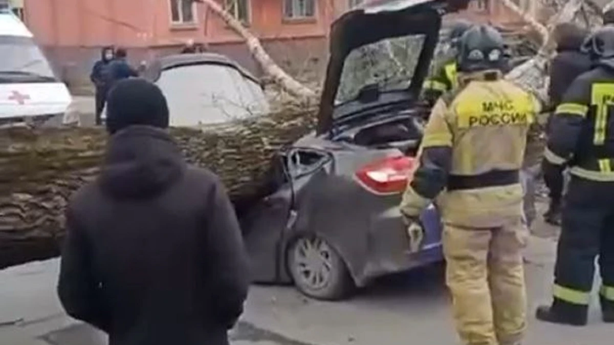 Ураган в Новокузнецке: дерево раздавило иномарку – двое погибли – фото
