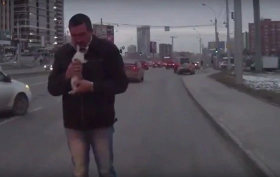 Мужчина спас котенка