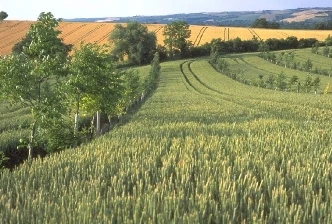 Agroforst_Herzog_etal Физкультурно-оздоровительный центр «Земляничка» на улице Парковая, 3а, площадью 124,5 квадратного метра был продан жителю поселка Агролес за 1 025 000 рублей.