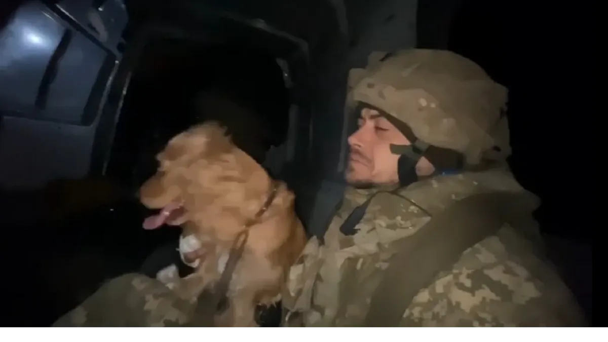 Опубликовано видео, сдающихся в плен морпехов ВСУ с собакой на «Азовстали» в Мариуполе. Фото: скриншот с видео