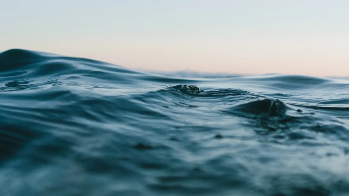 Фото: Pexels.com