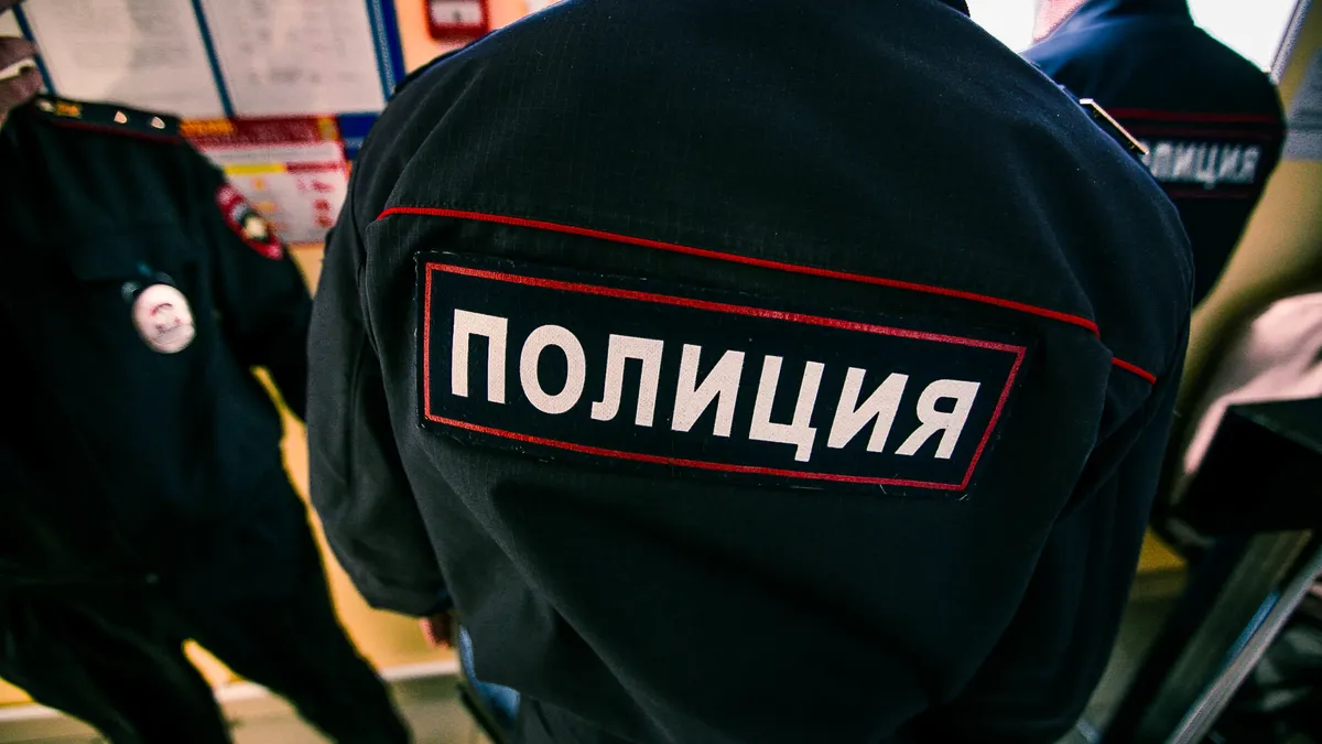 В Ставрополе полицейского избили пакетом с замороженным мясом - видео