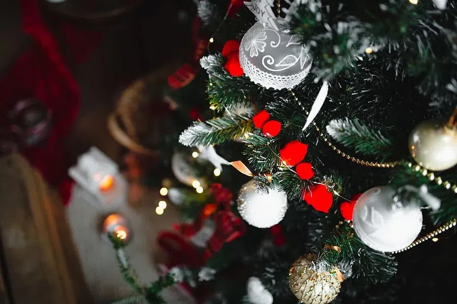 Традиции католического Сочельника и Рождества: какие слова говорят, когда дарят облатки и как правильно создать дома Рождественский вертеп