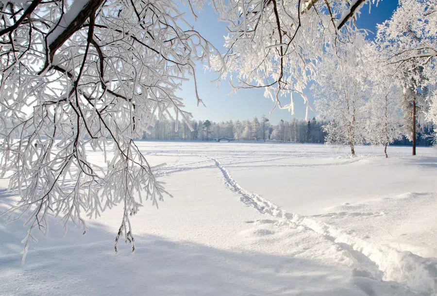 В Новосибирской области  резкое потеплеет на выходных перед лютыми морозами