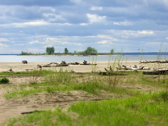 На бердском побережье Обского моря разрешено купаться только на пляжах «На камнях» и «Старый Бердск»