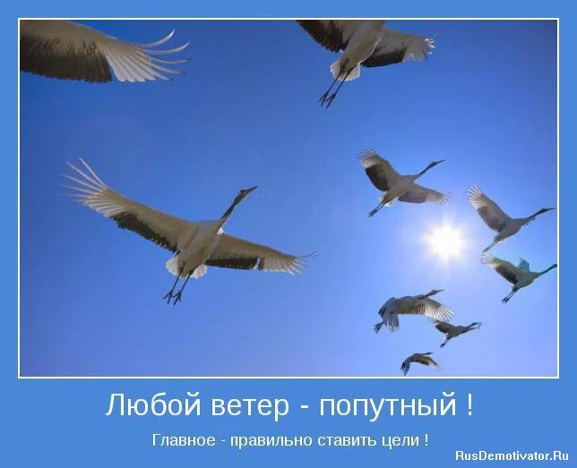 10 августа - День попутного ветра