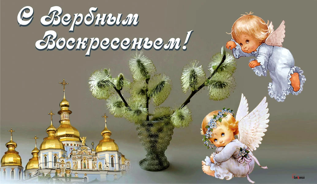 открытка