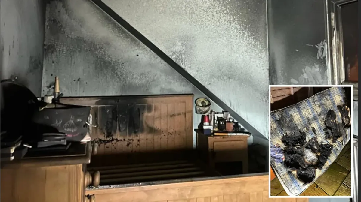 В Великобритании собака устроила пожар в спальне хозяйки, включив фен 