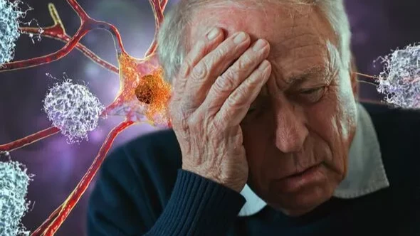 Деменция: ученые доказали, что сладкое лакомство увеличивает «мозговой кровоток» у страдающих старческим слабоумием и помогает улучшить состояние 