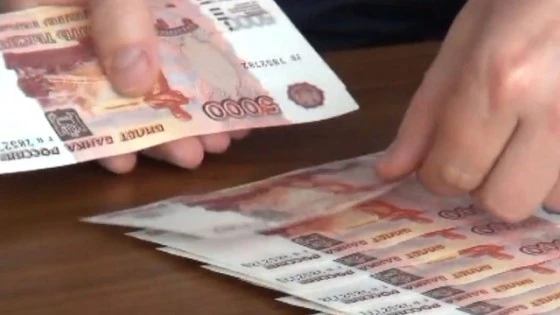 В ходе предварительного следствия Приходина частично возместила ущерб на сумму почти 43 тыс. руб. Приходина в полном объеме признала вину по предъявленному обвинению