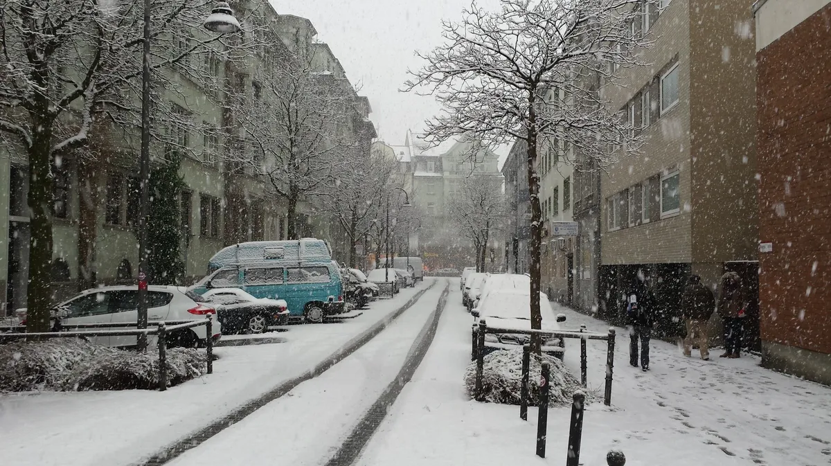 Отразится ли аномально холодный и снежный январь на феврале? Прогноз погоды на февраль 2024 года для Москвы, Петербурга и Подмосковья