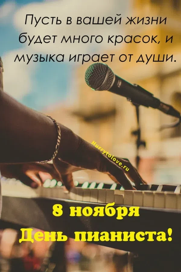 8 ноября - Международный День Пианиста. Фото: Нurrytolove.ru