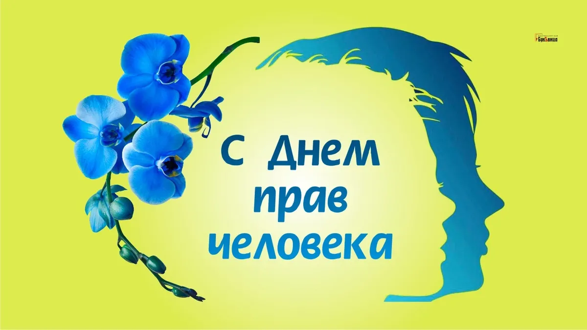 праздник инти райми в перу. день независимости перу 28 июля. открытка международный день прав человека 10 декабря. день пере. традиции перу.