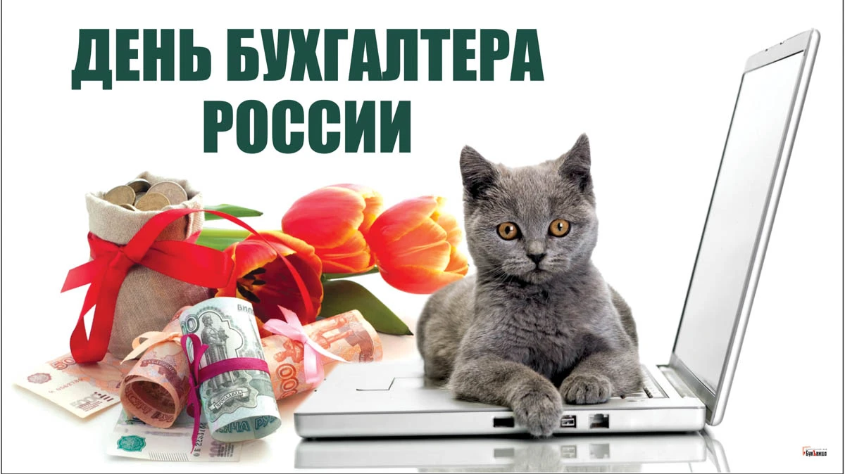 Поздравления, картинки и открытки в День День бухгалтера России 21 ноября
