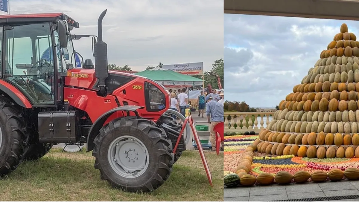 В честь 70-летнего юбилея Владимира Путина президент Белоруссии Александр Лукашенко подарил ему трактор, а лидер Таджикистана – гору дынь и арбузов