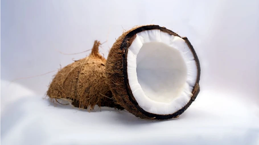 2 сентября отмечается Всемирный день кокоса. Фото: piqsels.com