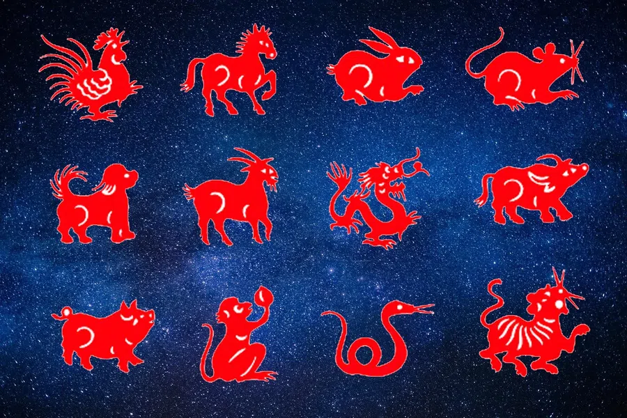 Знаки китайского гороскопа: лучшие любовные пары и самые удачливые «животные»