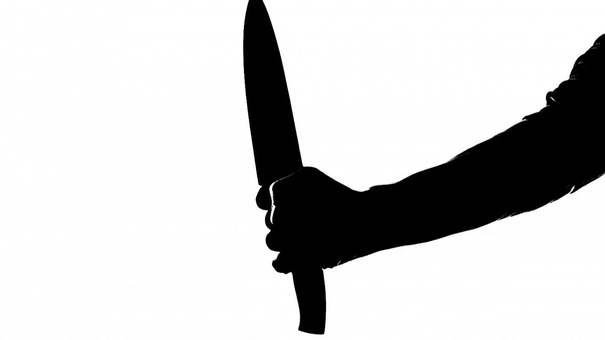 Сотрудники полиции задержали подозреваемую в ранении ножом мужчину из Искитима