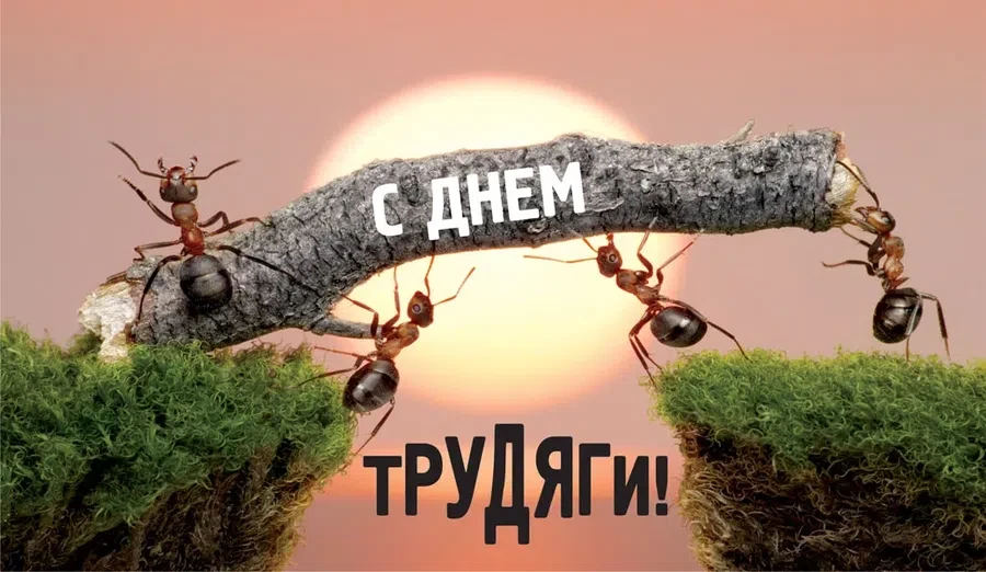 22 июля - День трудяги