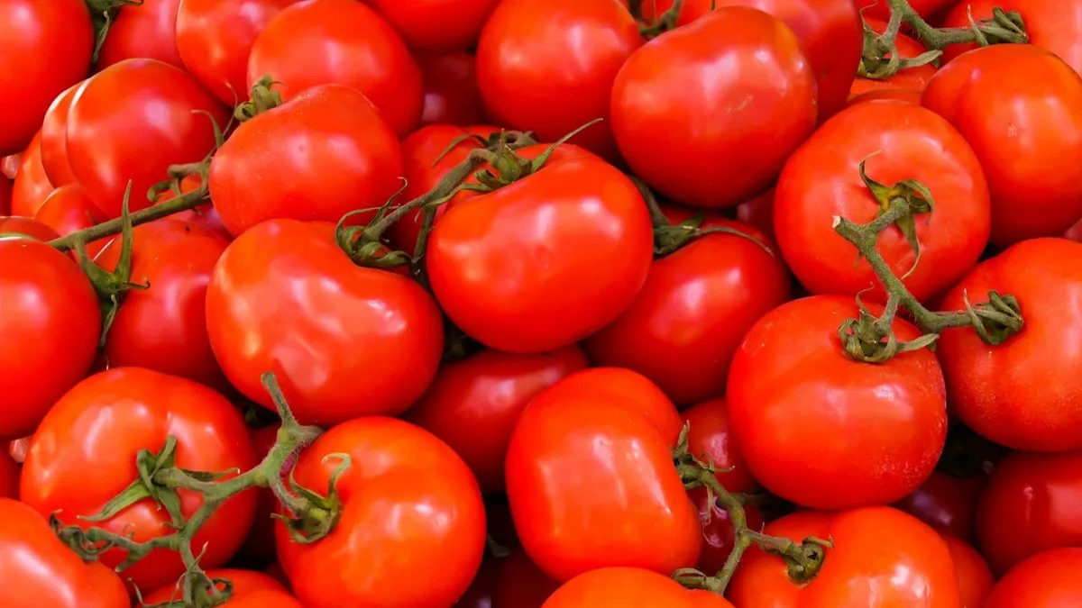 Когда сажать томаты в открытый грунт в мае, июне 2022: лунный календарь подходящих и плохих дней – 5 дельных советов для урожая при высаживании