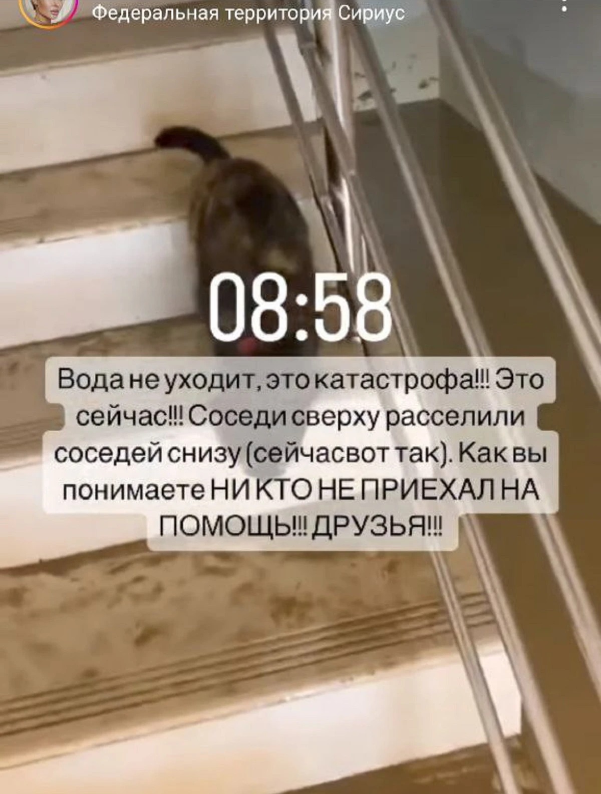 Элина Камирен / Instagram* (принадлежит Meta*, она запрещена в России и признана экстремистской)