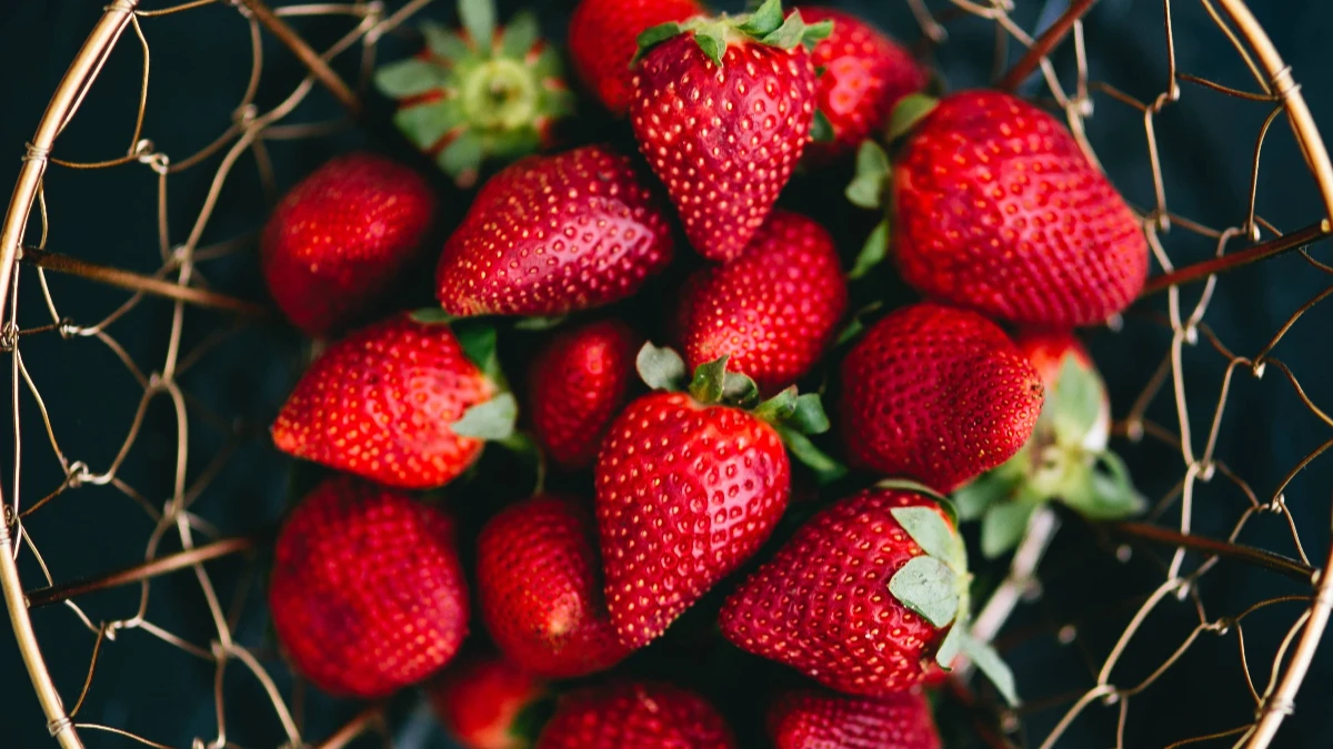 Лунный календарь на сбор первых ягод в июне и июле 2022: самые подходящие дни – 4 рецепта вкусного варенья из жимолости и клубники