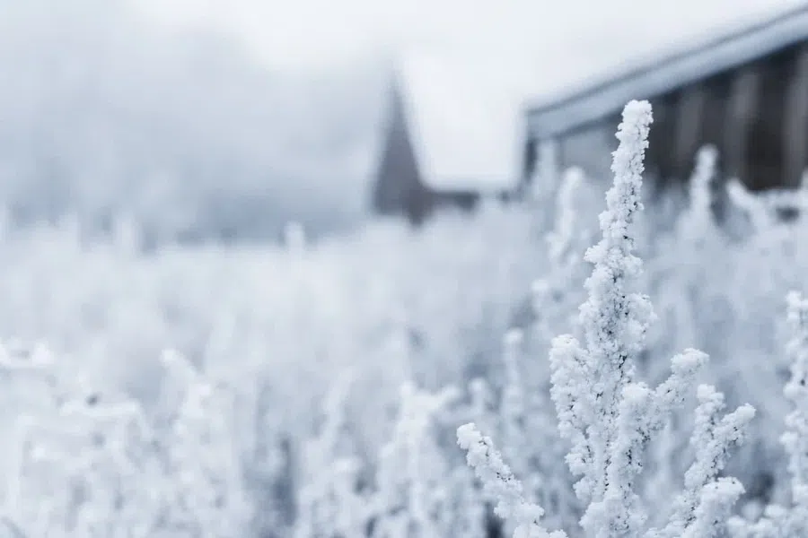 В Новосибирскую область придут 40-градусные морозы. Максимально низкие температуры обещают к Новому году