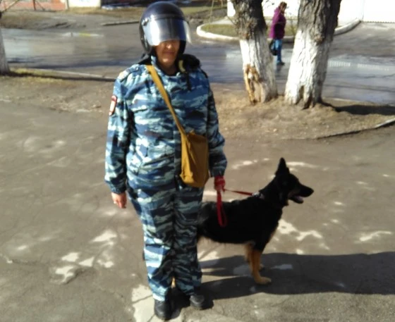 Тренировка 