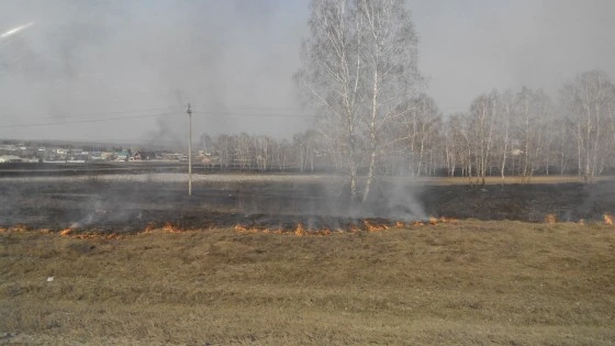 Трава начала гореть ежедневно
