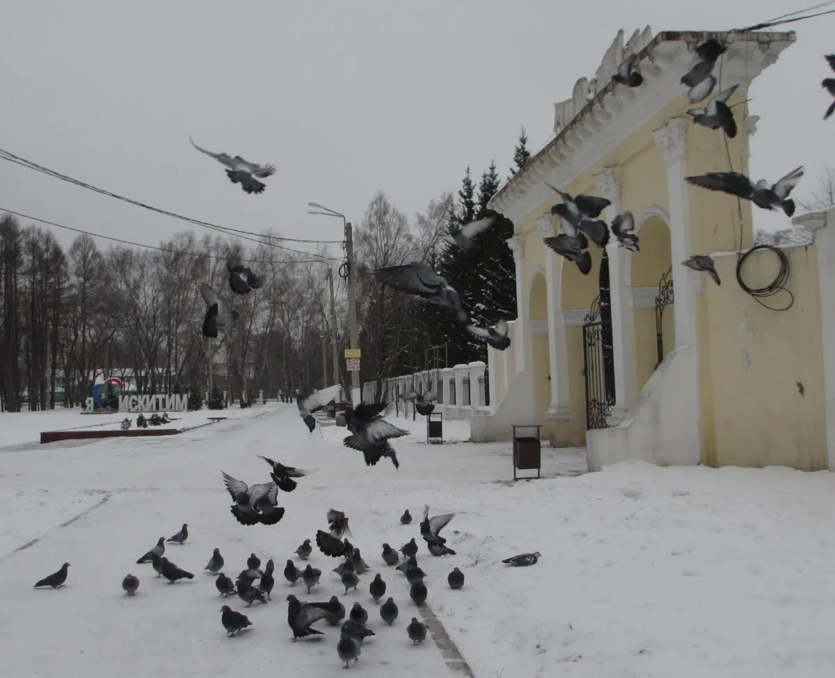 Весь Искитим