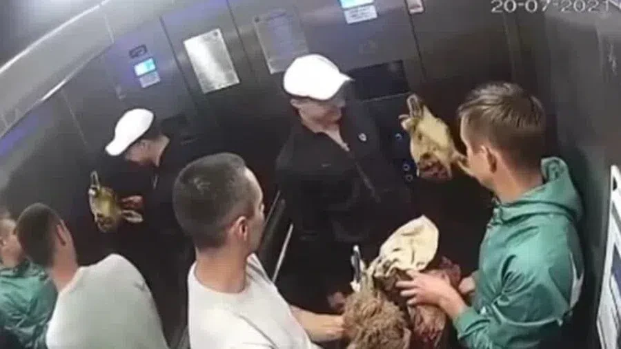 Скриншот