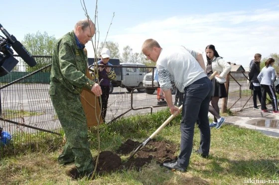 Аллеи появились 11 мая