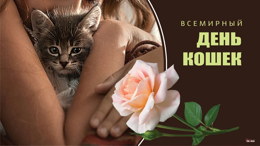Нежные новые открытки и стихи во Всемирный день кошек 8 августа для обожателей кошачьей породы