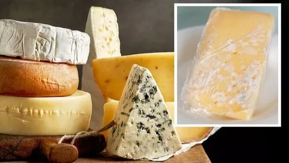 Каждый сыр уникален, поэтому к каждому из них предъявляются разные требования, чтобы сохранить их в лучшем виде. Фото: Еxpress.co.uk