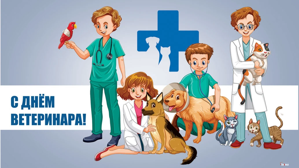 Чуткие новые открытки и забавные стихи в День ветеринара всем профессионалам 31 августа