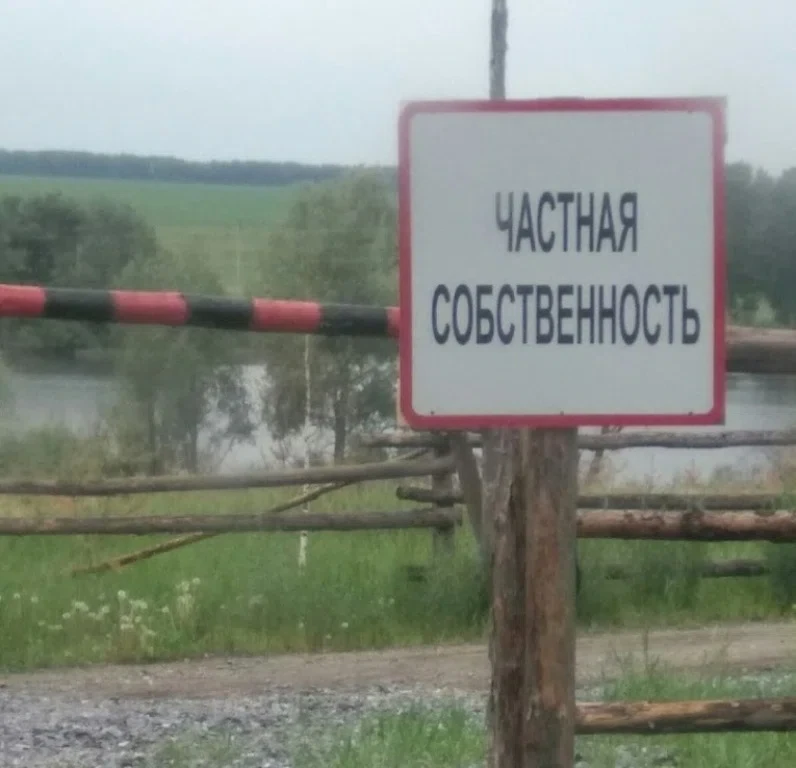 Из соцсети