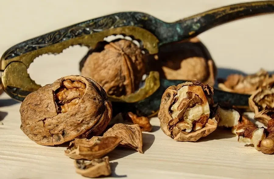 piqsels