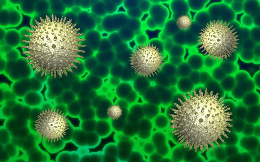 Омикрон подает осторожные надежды: заразный вирус может сформировать коллективный иммунитет
