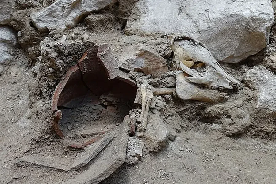 2700-летний скелет свиньи доме в Иерусалиме: некоторые ранние евреи ели свинину?