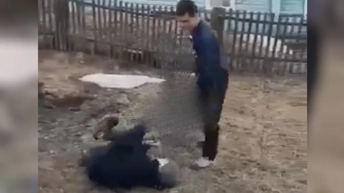 «Выбирай, где будешь умирать»: В Новосибирской области старшеклассники избили 13-летнего мальчика, сняв это на видео