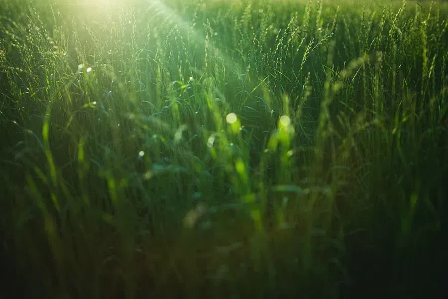 https://www.pxfuel.com/
