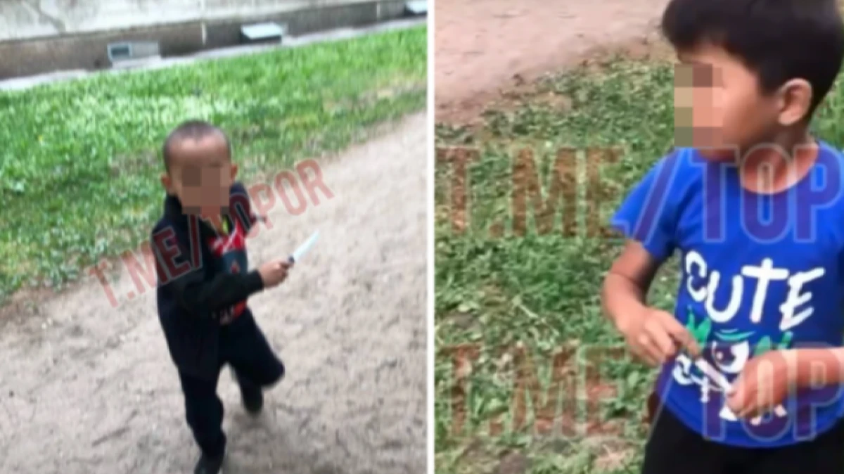В Новосибирске прокуратура начала проверку из-за агрессивных детей с ножами