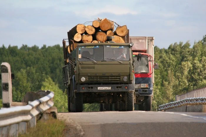 Если вам стало известно о фактах незаконной вырубки леса, сообщайте в полицию по телефонам 02, 2-98-61, 2-96-23 или по «телефону доверия» 4-26-66