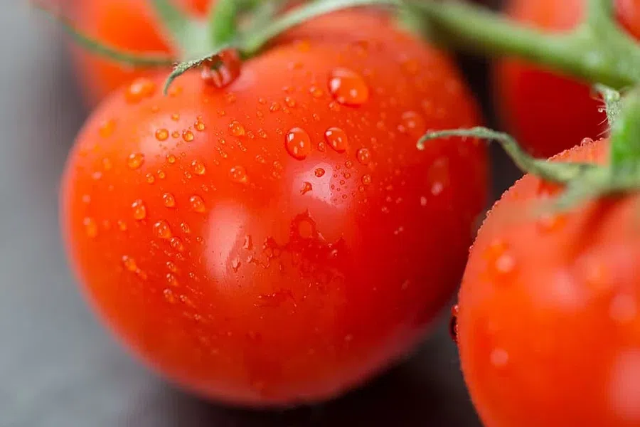 Штамбовые томаты: как выбрать сорт для прямого посева