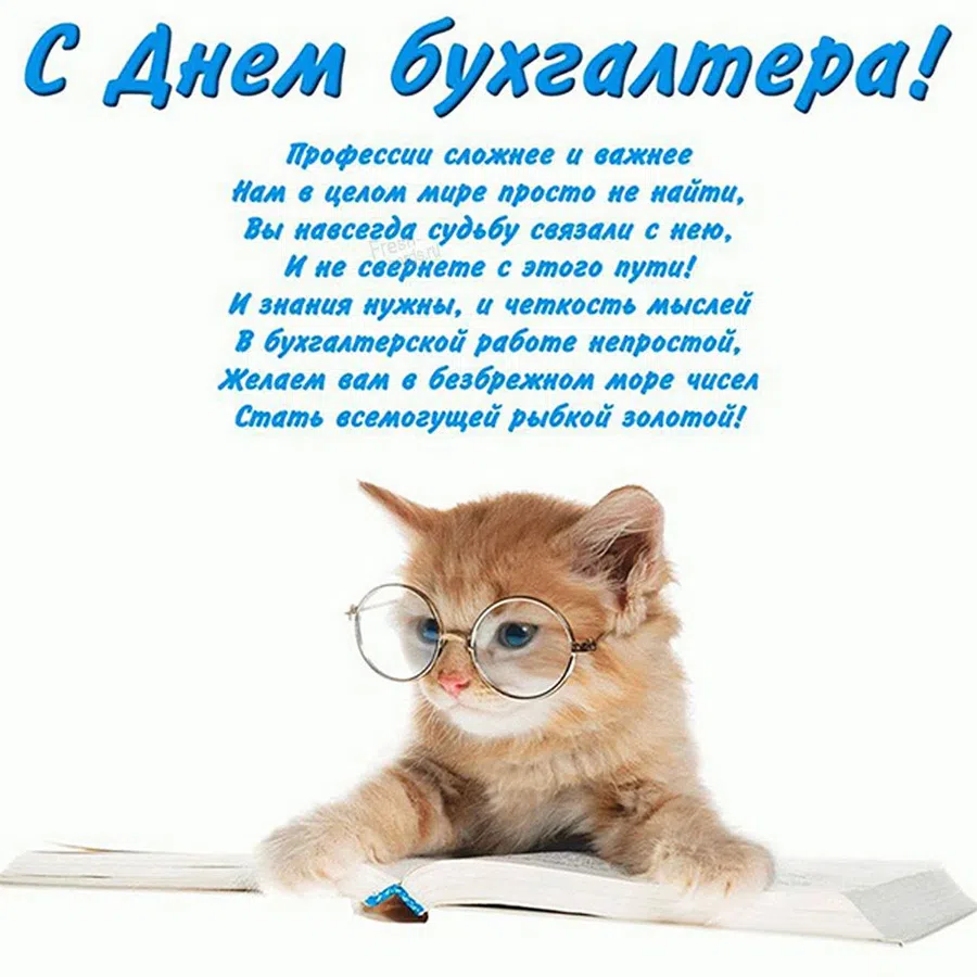 Прекрасные открытки для каждого бухгалтера России в праздник День бухгалтера 21 ноября