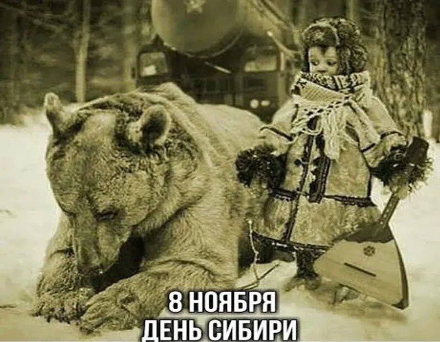 8 ноября - День Сибири. Фото: Рrivetpeople.ru, Мultiurok.ru