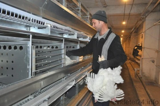 Птицефабрика находится в Искитимском районе