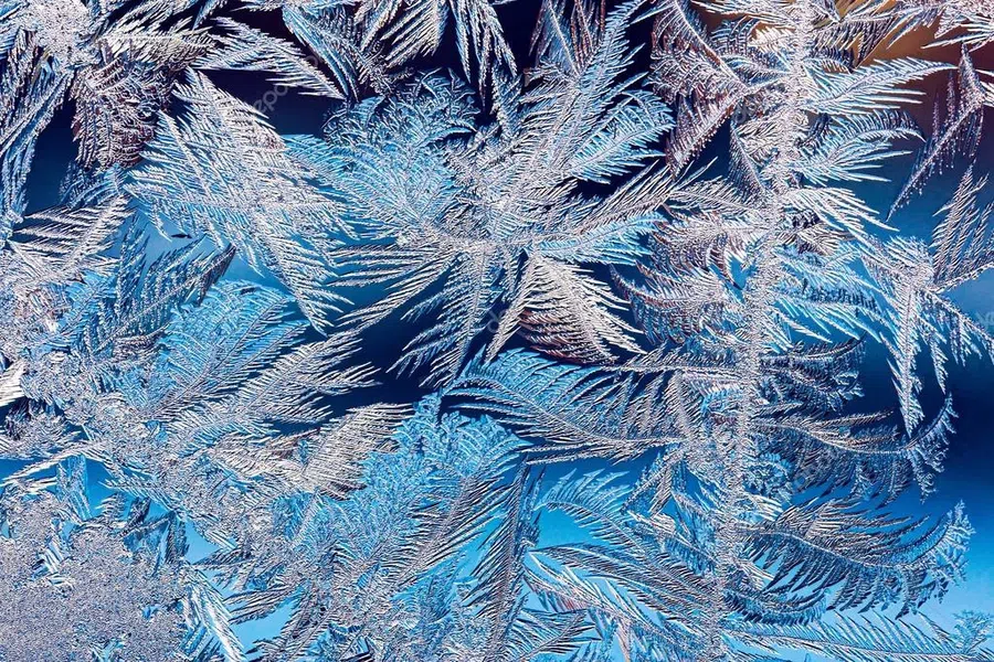 День примерки морозного кружева - 24 января. Фото: Pinterest.ru