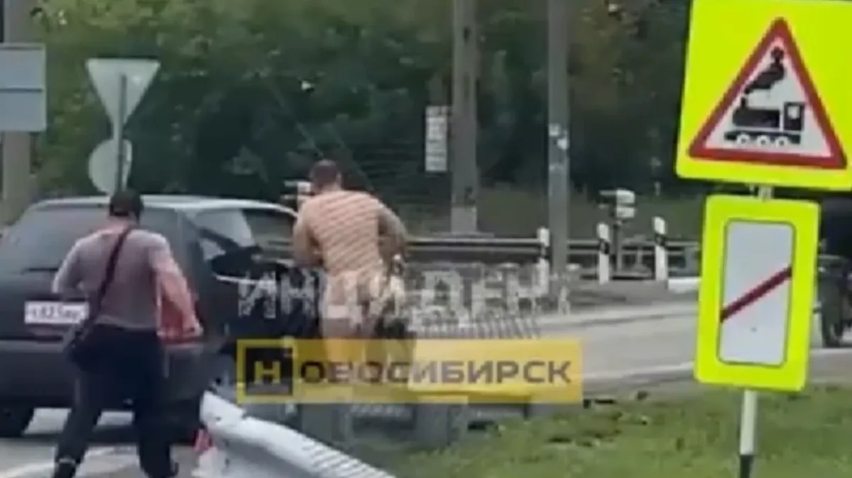 В Мочище Новосибирска мужчина устроил аварию и обнаженное представление для полицейских - видео